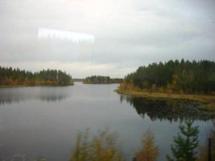 Blick aus dem Zug auf die schwedische Taiga während der Fahrt von Umea nach Lulea