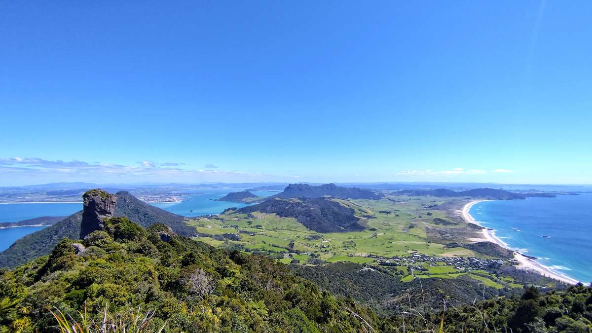 Wanderweg auf dem Bream Head Track mit Blick über bewachsene Hügel und den tiefblauen Pazifik