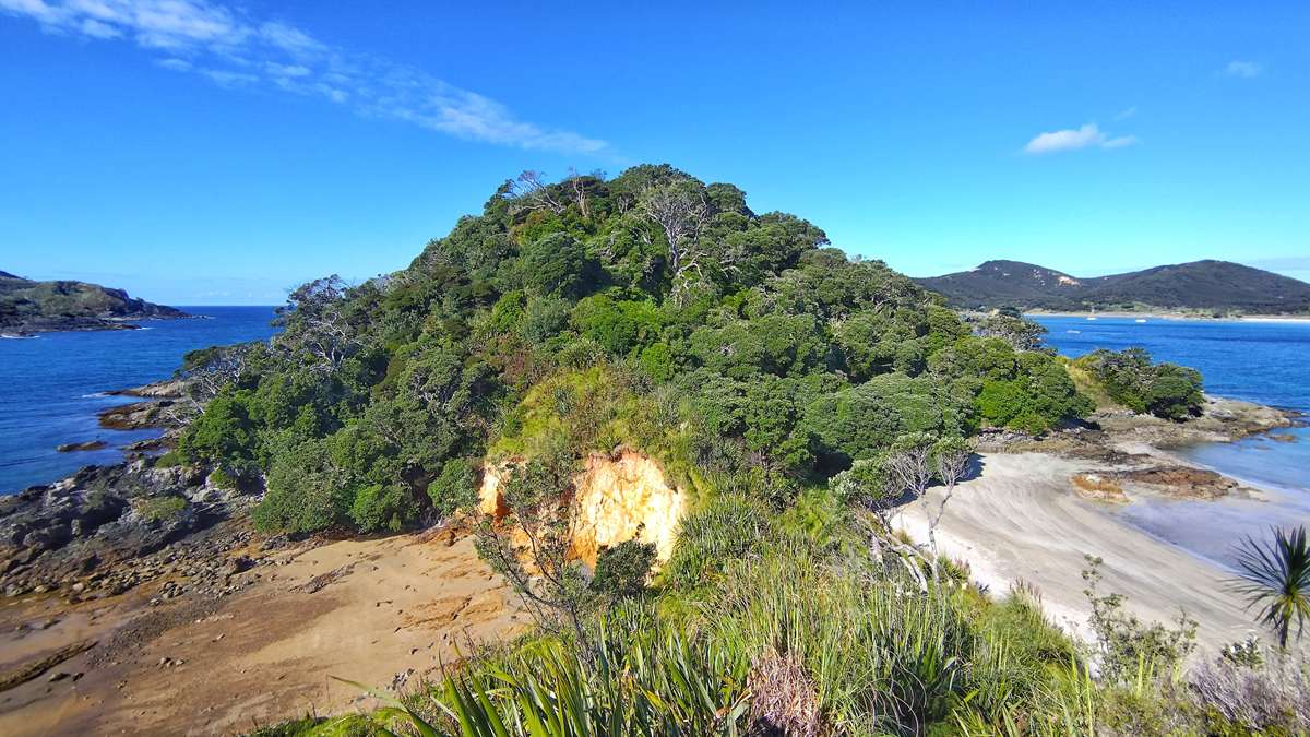 Frisch geerntete neuseeländische Kiwis in Holzkisten und Erntekörben auf einer Farm in Kerikeri