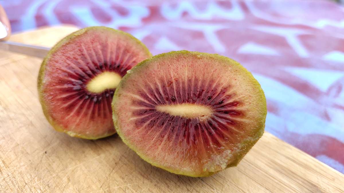 Nahaufnahme einer halbierten roten Kiwi auf einem Holzbrett in einer neuseeländischen Obstplantage