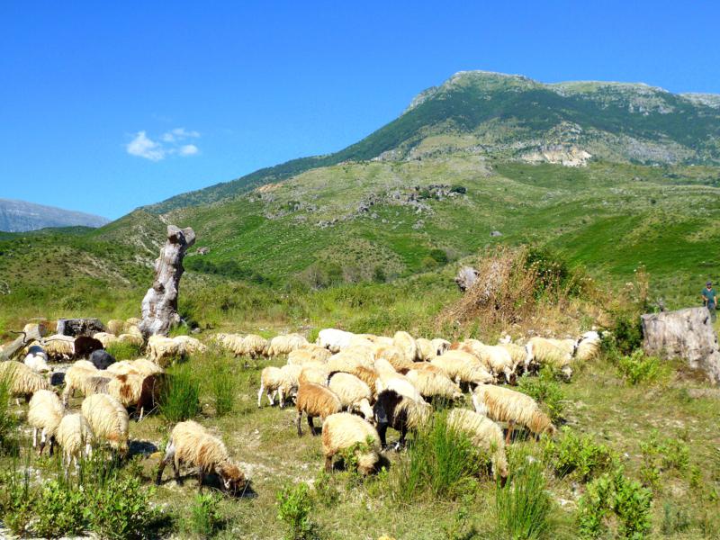 Kurz hinter Tepelene: eine Landschaft, die ihres gleichen sucht