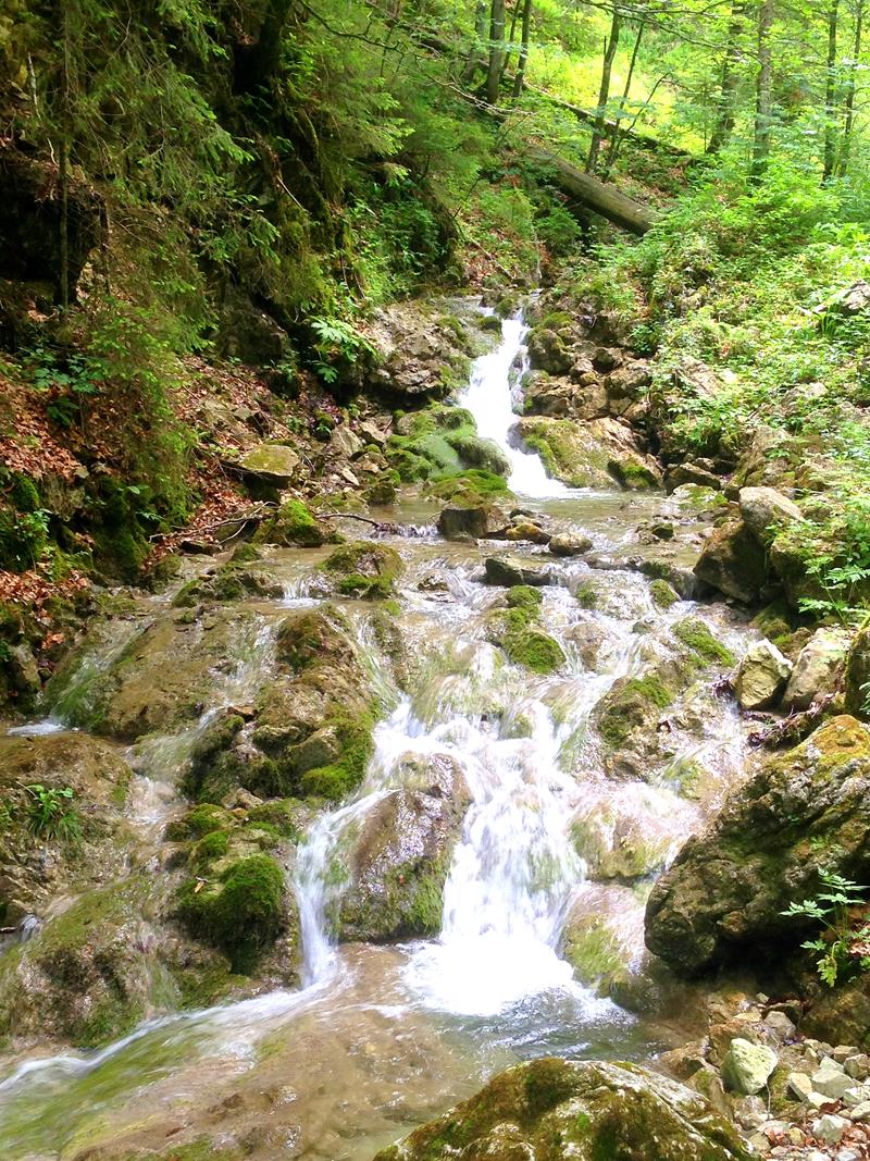 Ein Teil der Lainbach-Wasserfälle auf einer Wanderung zur Tutzinger Hütte