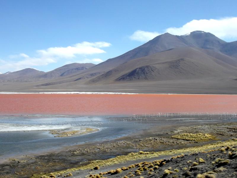 Die Laguna Colorada in der Salar de Uyuni in der Nähe der chilenischen Grenze
