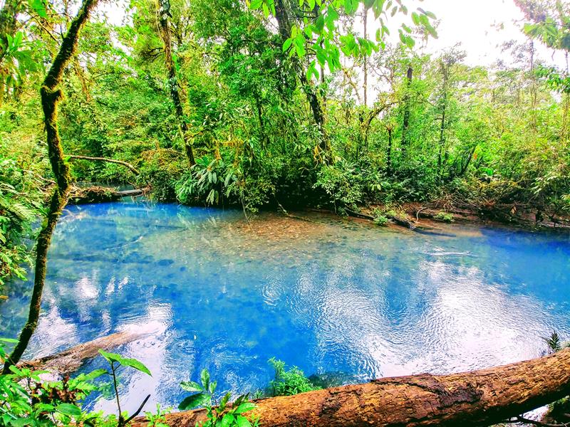 Der blaue Fluss des Rio Celeste im Tenorio National Park