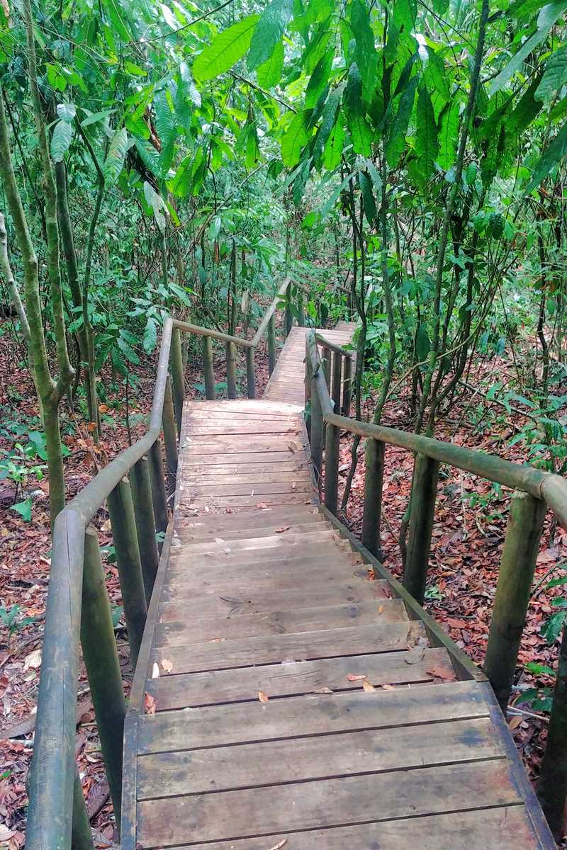 Die Wanderwege im beliebten Manuel Antonio National Park, Costa Rica