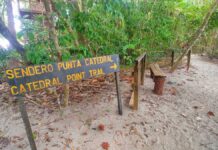 Wandern im Manuel Antonio Nationalpark