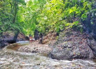 La Bolita Rainforest Hostel – Dschungel-Abenteuer für kleines Geld