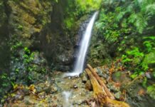 Tolle Wasserfälle auf der Osa-Halbinsel und um Corcovado National Park