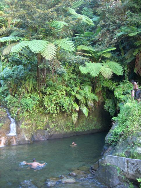 Ti Tou Gorge in Dominica