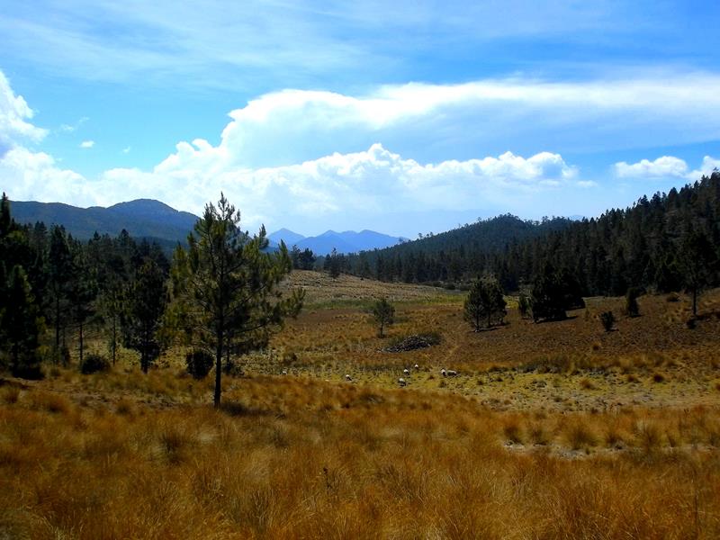Spektakuläre Szenerie auf dem Weg durch den Parque Nacional Valle Nuevo