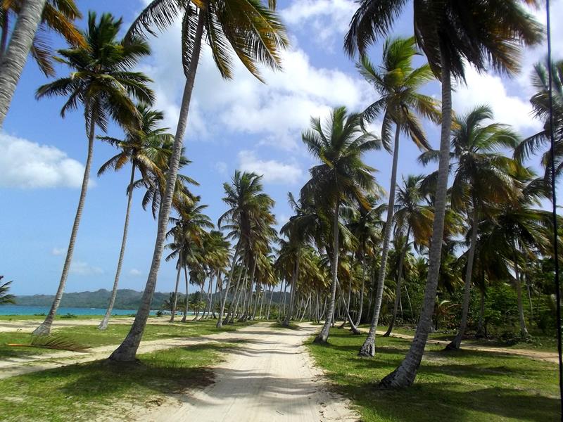 Der traumhafte Playa Rincon im Nordosten der Samaná-Halbinsel in der Dominikanischen Republik