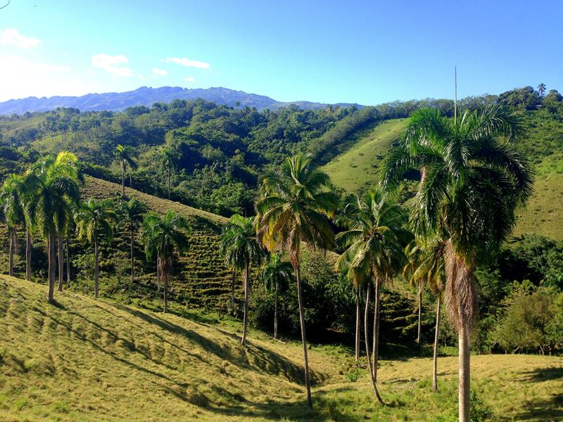 Wanderung durch die Cordillera Septentrional in der Dominikanischen Republik