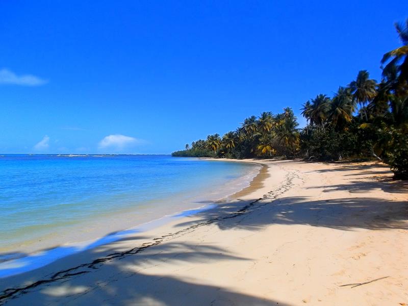 Der Playa Carolina, einer der Traumstrände auf der Halbinsel Samaná