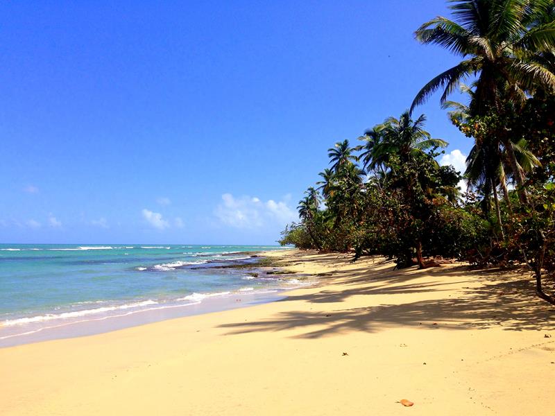 Der traumhafte Playa Esmeralda in der Dominikanischen Republik