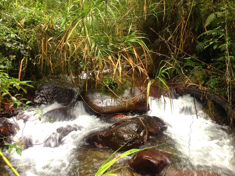 Hübsche Flussläufe im Parque Nacional Armando Bermudez in der Dominikanischen Republik