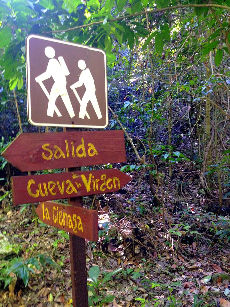 Der Weg zur Cueva de la Virgen bei Barahona