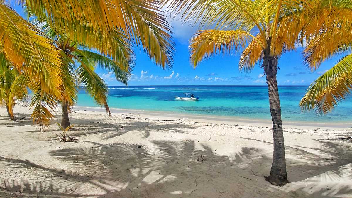Der wundervolle Strand Canto de la Playa auf der Isla Saona in der Dominikanischen Republik