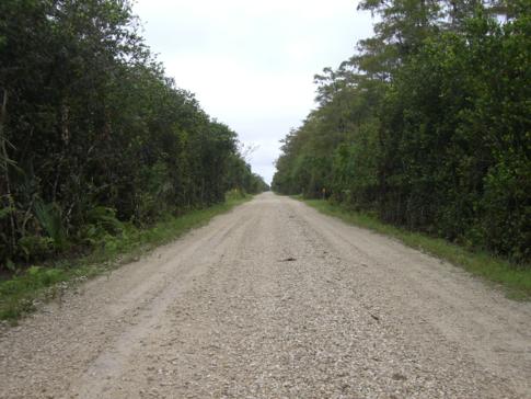 Die Loop Road mitten durch die Everglades