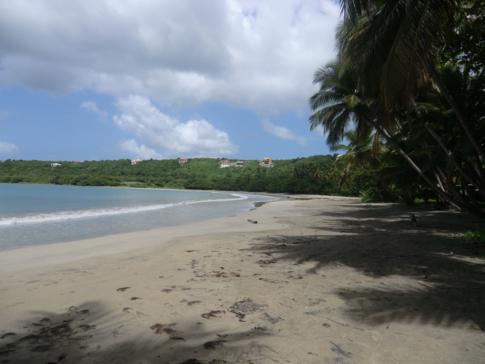 La Sagesse - eine wunderschöne Karibik-Bucht im Südosten von Grenada
