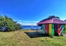 Die kleine Insel Hog Island, ein spannendes Ausflugsziel auf Grenada