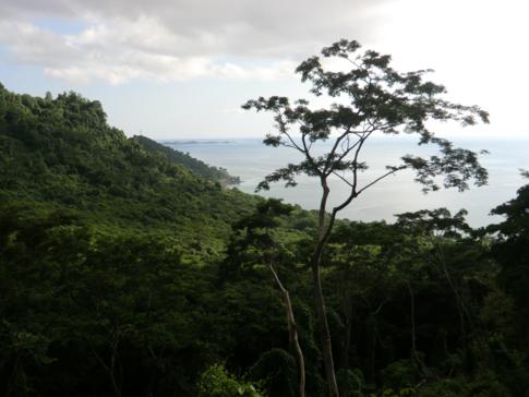 Ausblick vom Gipfel auf Grand Mal Bay und die Westküste von Grenada