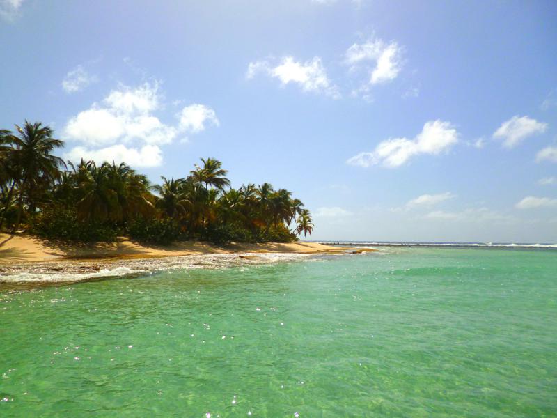 Traumstrand und Kokospalmen auf Sandy Island bei Grenada