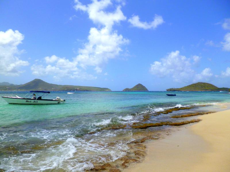 Karibik pur auf Sandy Island: Palmen, türkisblaues Wasser, traumhafter Strand