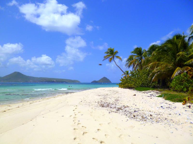 Karibik pur auf Sandy Island: Palmen, türkisblaues Wasser, traumhafter Strand