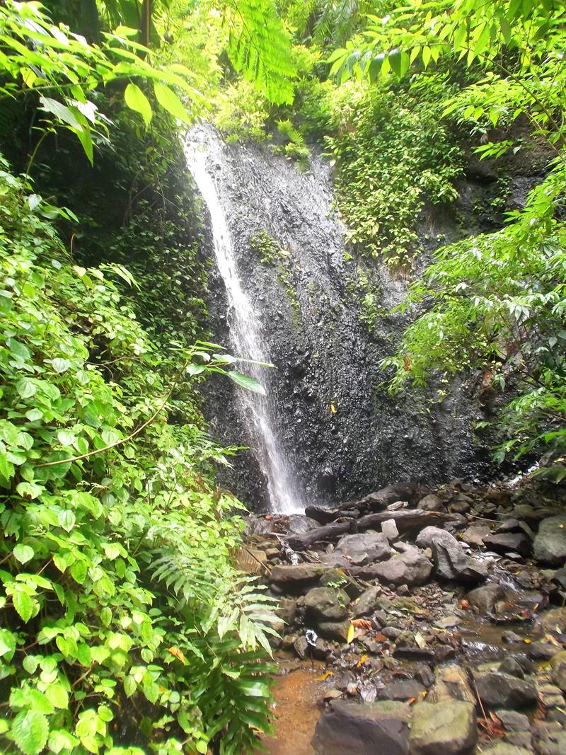 Wanderung zum Tufton Hall Wasserfall auf der Karibik-Insel Grenada