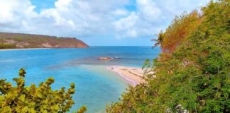 Grenada Sugarloaf Island