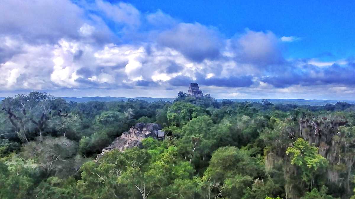 Die Maya Ruinen von Tikal in Flores, Guatemala