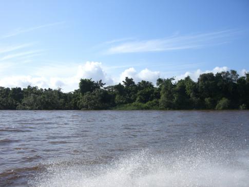 Ausblick während der Fahrt auf dem Essequibo River