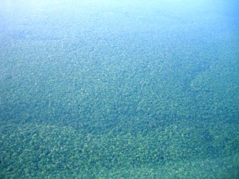 Blick auf den nahezu unendlichen Regenwald während des Fluges mit Trans Guyana Airways