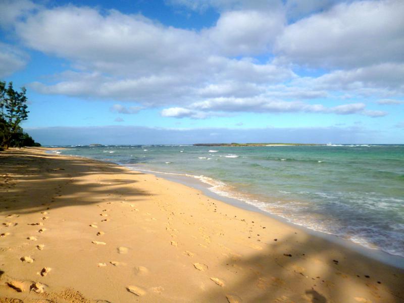 Der Strand im Malaekahana State Park auf Oahu