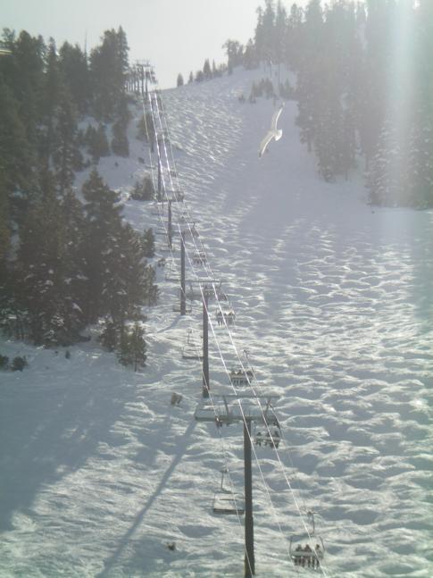 Die Buckelpiste Gunbarrel im Skigebiet Heavenly