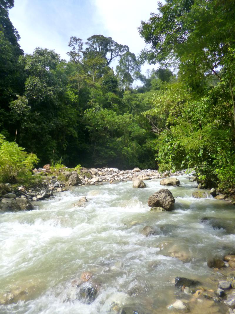 Der Gunung Leusser National Park auf Sumatra in Indonesien