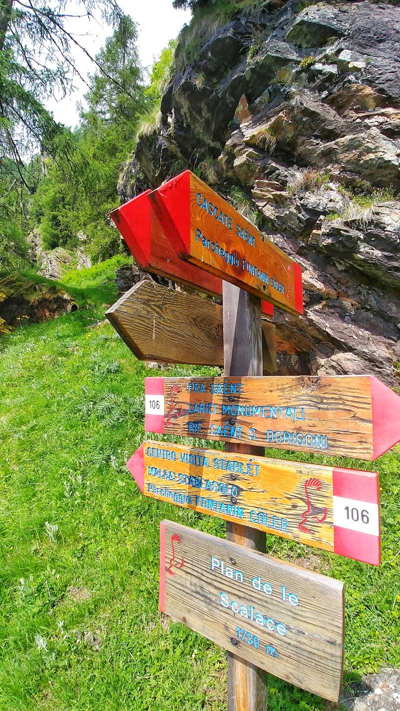 Wandern im Val di Rabbi in Trentino im Norden von Italien