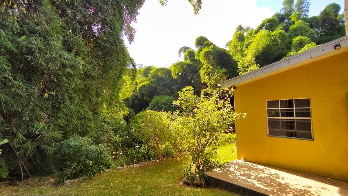 Das Irish Town Guesthouse in Jamaika