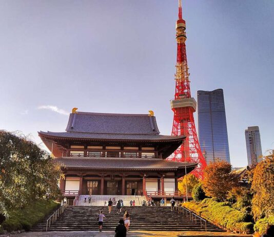 Reisebericht Tokio – Erfahrungen aus einer Mega-Stadt mit spektakulärer Natur im Umland Zojo-ji-Tempel mit dem Tokyo Tower im Hintergrund.