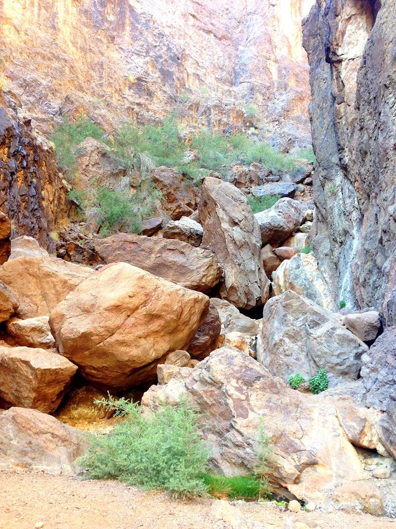 Kletterpartien und Seilabschnitte gehören zum Gold Strike Hot Springs Trail dazu