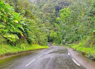 Reisebericht Martinique – die Bananen- und Rum-Insel für Individualreisende
