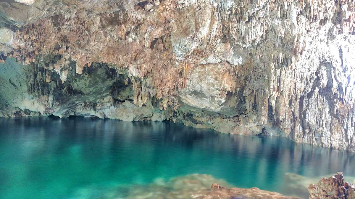 Cenote Pool Uinic, eine der Cenoten in Homun nahe Merida