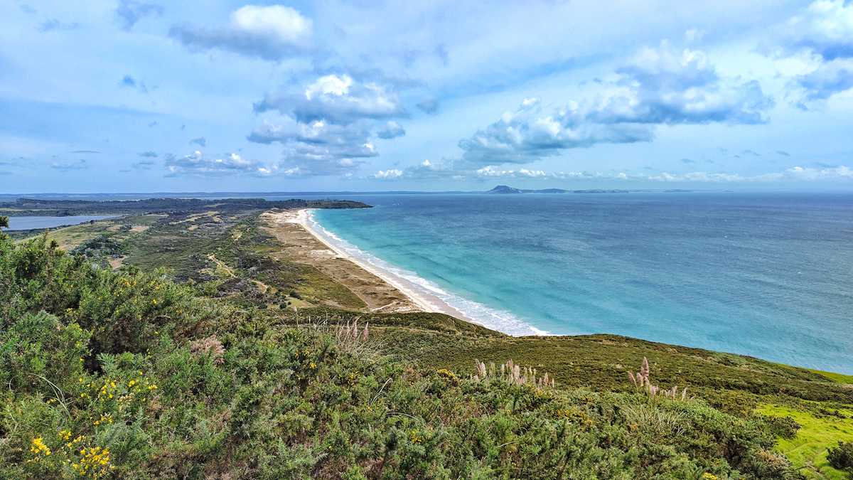 Blick vom Mount Puwheke auf die fantastischen Strände der Karikari-Peninsula