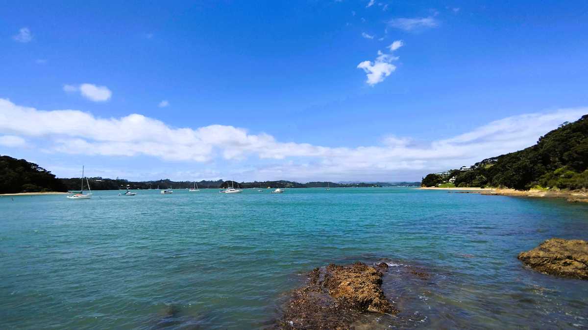 Wanderung von Opua nach Paihia in der Region der Bay of Islands