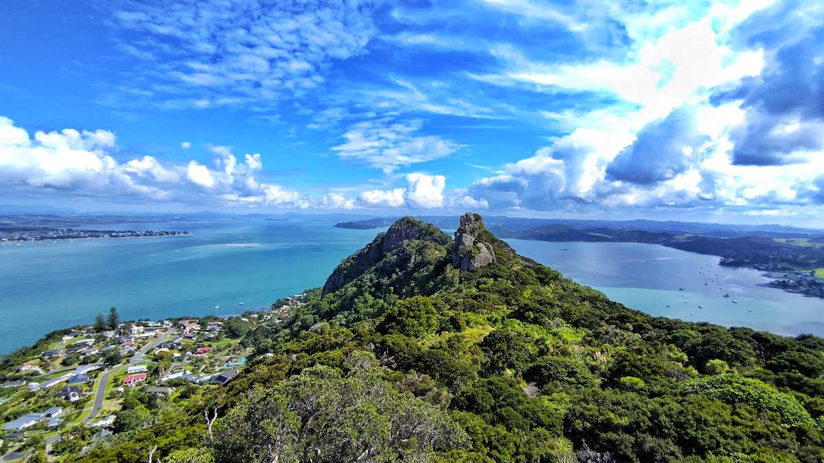 Tolle Neuseeland-Wanderung auf den Mount Aubrey mit Blick auf Whangarei und das gleichnamige Inlet