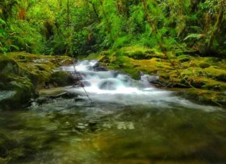Wanderung in Boquete in den Bergen von Panama zum Lost Waterfalls Trail