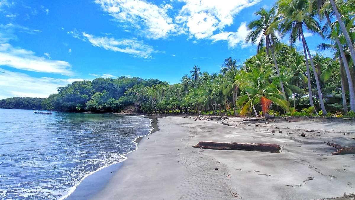 Inselhüpfen-Tour durch den Golf von Chiriqui mit der Isla Bolanos, Isla Perida und Isla Gamez