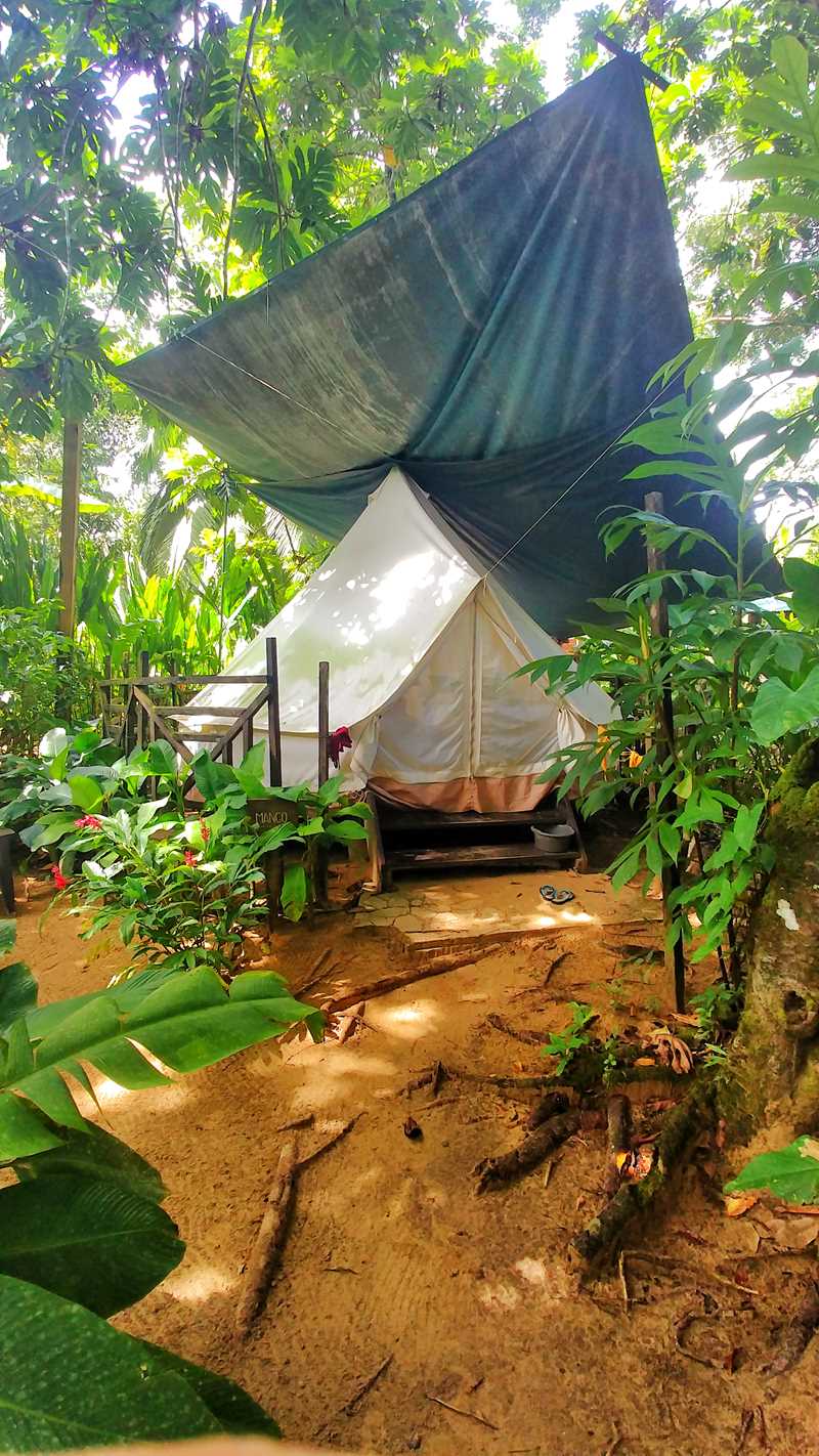 Die fantastische Palmar Beach Lodge auf der Isla Bastimientos im Bocas del Toro Archipel in Panama
