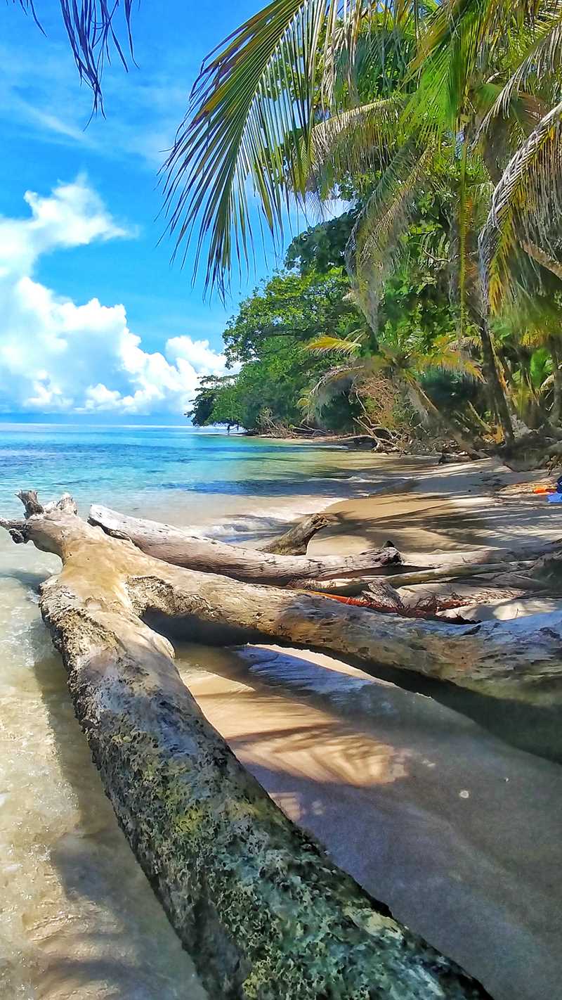 Die paradiesische Insel Cayo Zapotilla im Bocas del Toro Archipel im Nordwesten von Panama