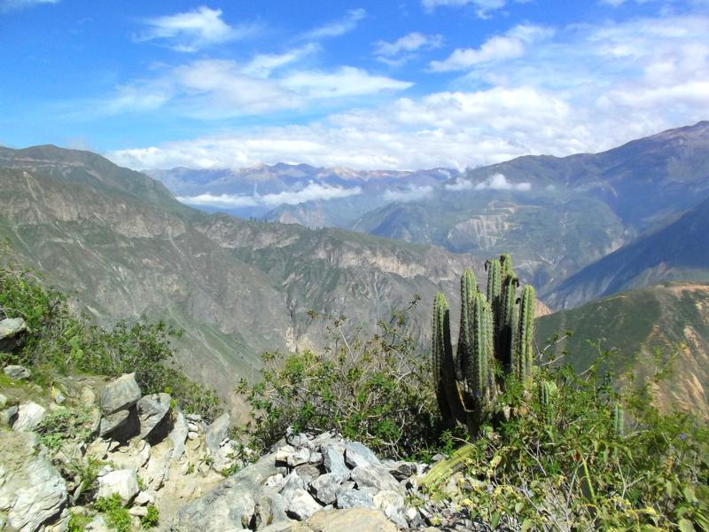 Spektakuläre Wanderung im Colca Canyon, die zweittiefste Schlucht in Peru und der Welt